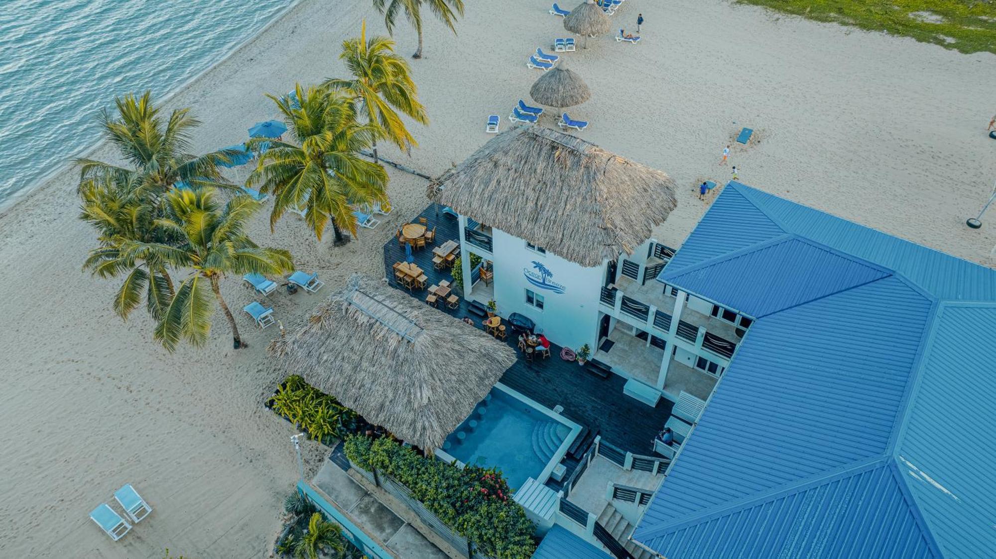 מלון Placencia Ocean Breeze מראה חיצוני תמונה
